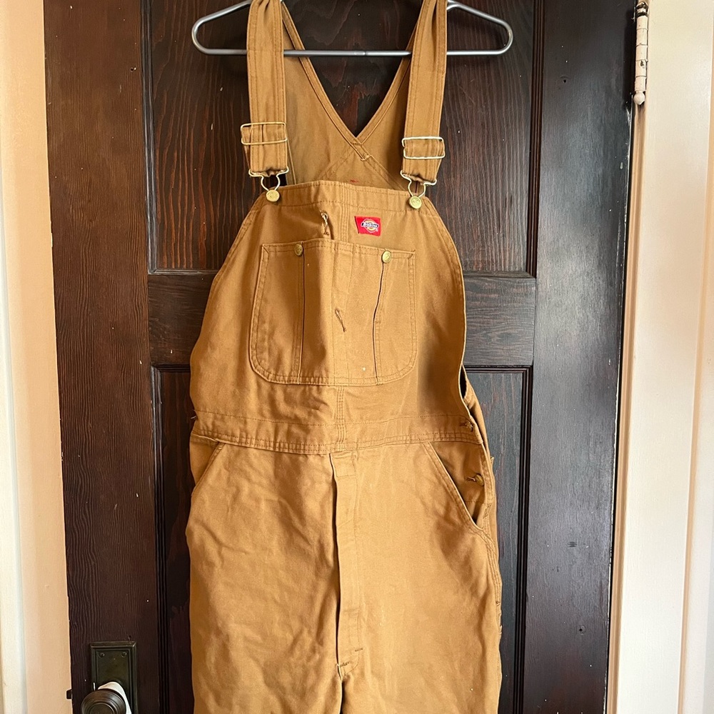 Mens dickie overalls